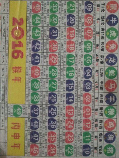 2025十二生肖49码表|文明解释解析落实