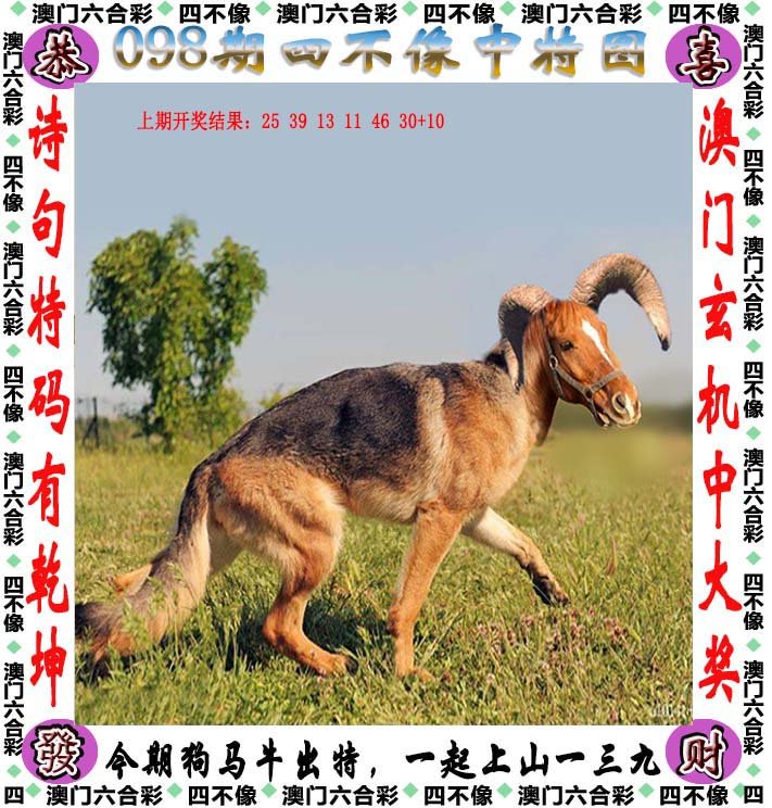 2025澳门正版四不像精准资料|精选解释解析落实