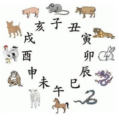 四不像323期图生肖图,探索四不像生肖图，第323期的独特魅力与奥秘