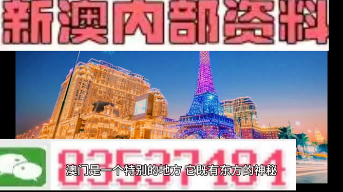 新澳门免费资料大全在线,新澳门免费资料大全在线，探索与解析