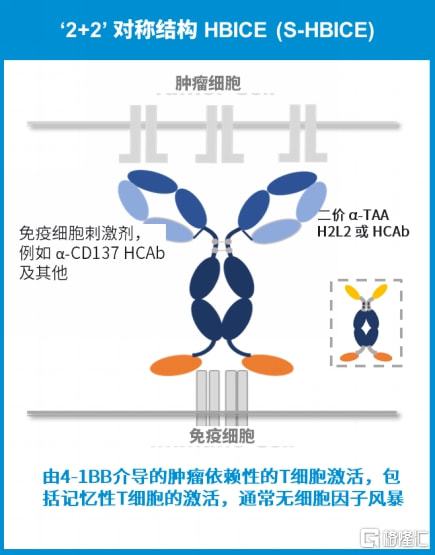 2025新澳今晚资料,探索未来，聚焦新澳今晚资料与未来的可能性（2025展望）