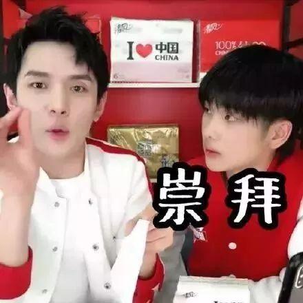 四不像正版资料免费大全,四不像正版资料免费大全——探索知识的宝藏