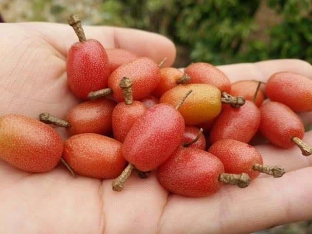 科技 第77页