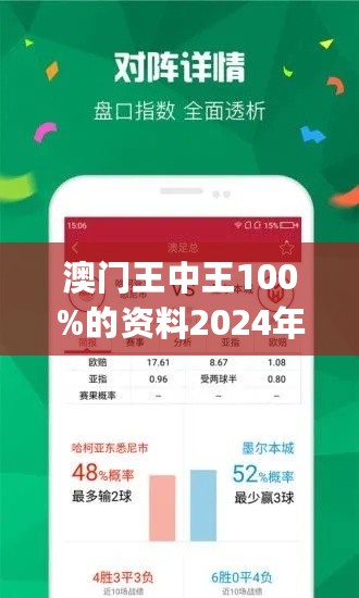 新澳门王中王王中王免费,新澳门王中王王中王免费——探索与解析