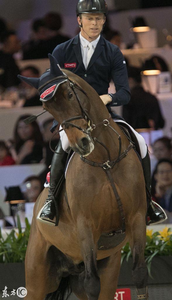 香港今晚开什么特马,香港今晚开什么特马，探索马术运动在香港的发展与魅力