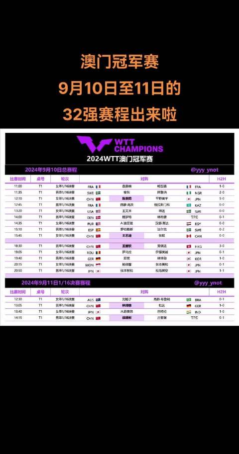 新澳门今晚开特马开,新澳门今晚开特马探析