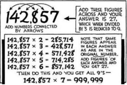 7777788888精准跑狗图,探索精准跑狗图，数字组合的魅力与策略探索